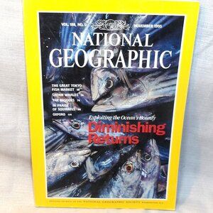 *** NATIONAL GEOGRAPHIC *** November, 1995